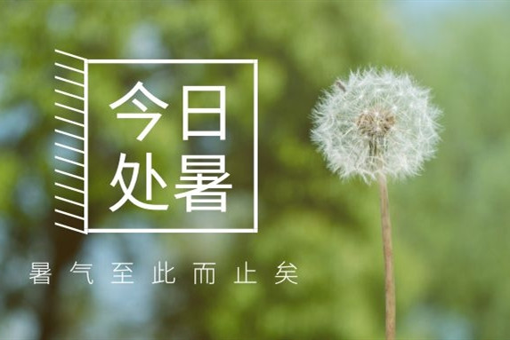 【衡陽通用電纜】處暑不是暑，秋涼知我意